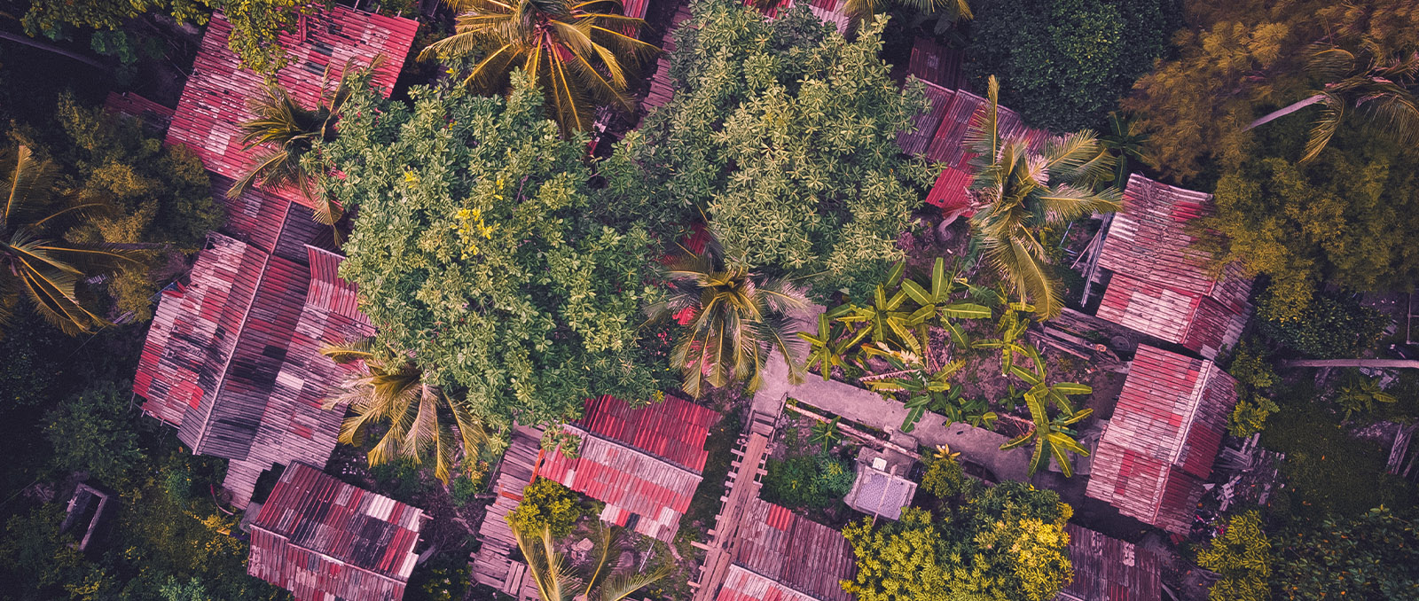 Banner_01_JungleVillage