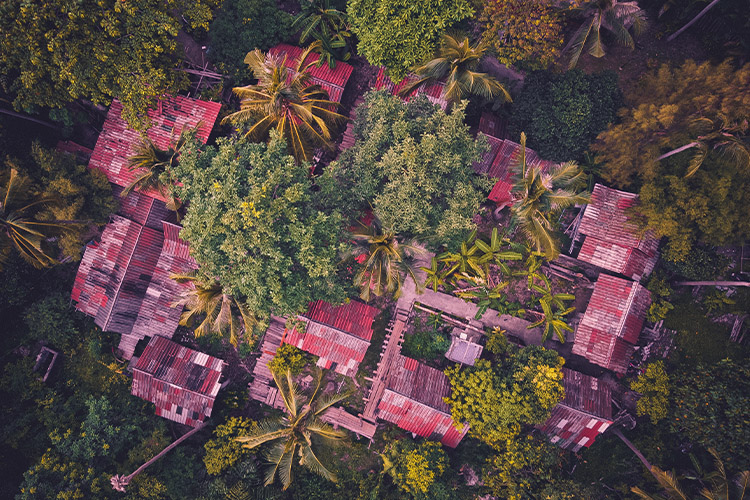 Banner_01_JungleVillage_small