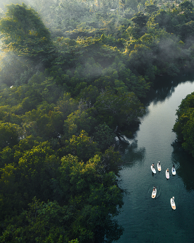 Jungle Paddling